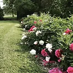 Bed & Breakfast Le Moulin De Gouaix 3*