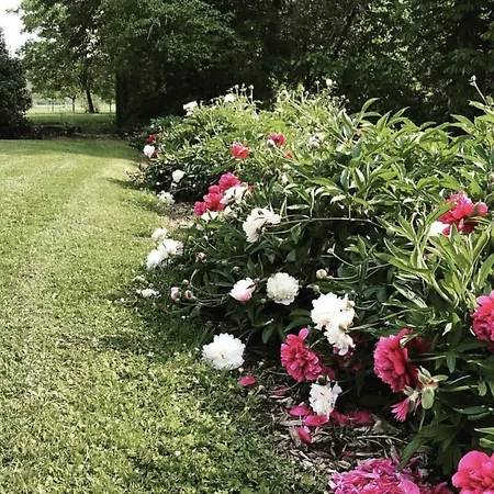 Bed & Breakfast Le Moulin De Gouaix 3*