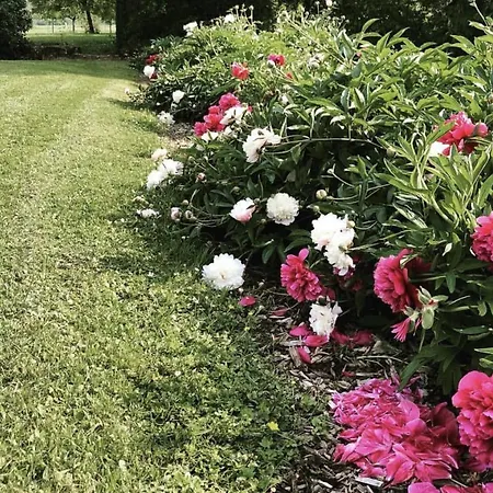 Le Moulin De Gouaix 3*
